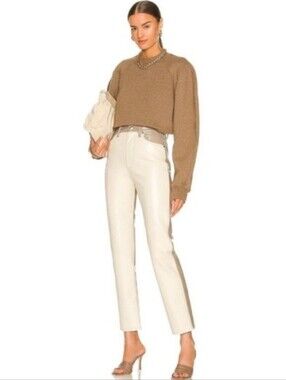 AGOLDE 90's Pinched Waist Powder Quail Leather Pants Size 25